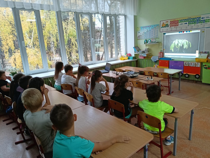 Экологическое воспитание Экологическое воспитание.